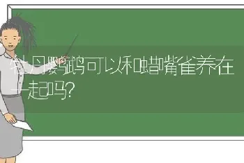 牡丹鹦鹉可以和蜡嘴雀养在一起吗？