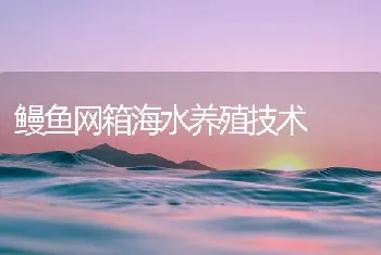 鳗鱼网箱海水养殖技术