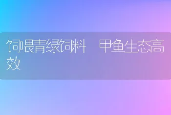 饲喂青绿饲料甲鱼生态高效