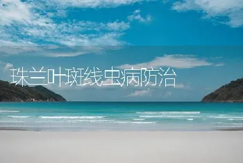 珠兰叶斑线虫病防治