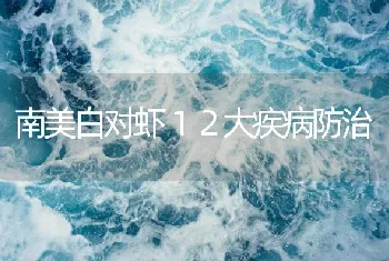 南美白对虾１２大疾病防治