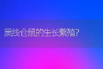 黑线仓鼠的生长繁殖？