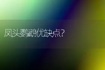 凤头鹦鹉优缺点？