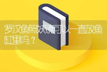 罗汉鱼照妖镜可以一直放鱼缸里吗？