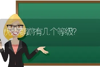 拉布拉多九个月一天吃多少犬粮？