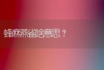 蜂麻燕雀啥意思？