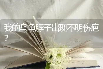 我的乌龟脖子出现不明伤疤？