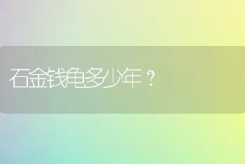 5个月德牧可以喂鸡架吗怎么喂？