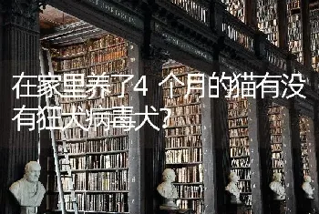 在家里养了4个月的猫有没有狂犬病毒犬？