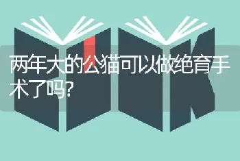 两年大的公猫可以做绝育手术了吗？