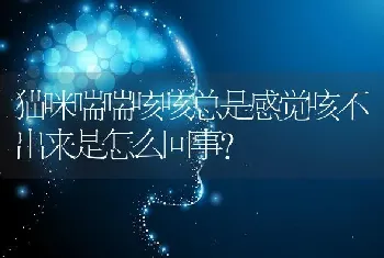 狗狗拉肚子好几天了，现在拉水了，怎么办？