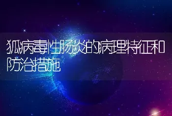 狐病毒性肠炎的病理特征和防治措施