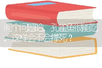 问个问题哈，孔雀鱼很能吃，这样会不会撑死？