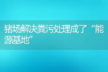 猪场解决粪污处理成了能源基地