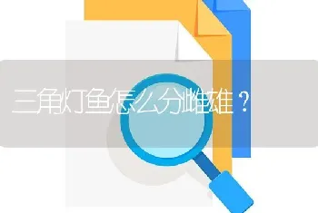 三角灯鱼怎么分雌雄？