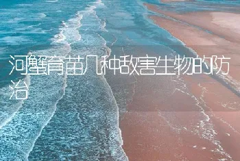 河蟹育苗几种敌害生物的防治