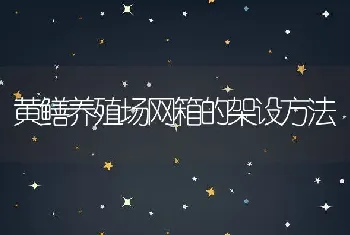 黄鳝养殖场网箱的架设方法