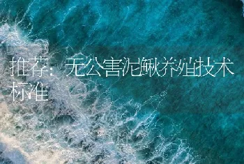 推荐：无公害泥鳅养殖技术标准