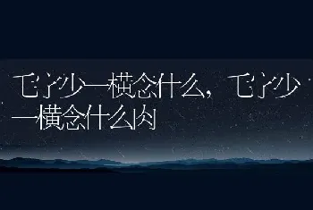 毛字少一横念什么，毛字少一横念什么肉