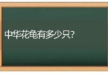 中华花龟有多少只？