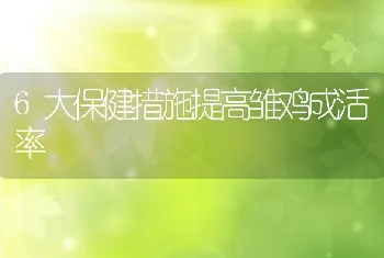 6大保健措施提高雏鸡成活率