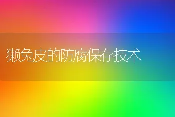 蛋鸡开放式鸡舍光照管理的误区与对策