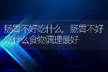 肠胃不好吃什么，肠胃不好吃什么食物调理最好