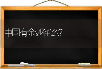 中国有金翅雀么？