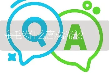 秋田犬和柴犬谁在日本地位高？