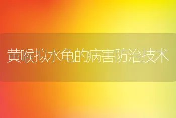 黄喉拟水龟的病害防治技术