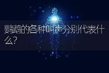 鹦鹉的各种叫声分别代表什么？