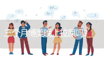 两个月的拉布拉多狗粮要泡成什么样？