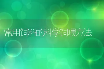 常用饲料的科学饲喂方法