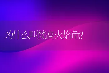 为什么叫梵高火焰龟？