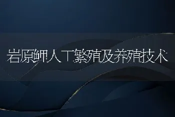 岩原鲤人工繁殖及养殖技术