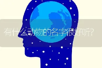 有什么动物的名字很好听？