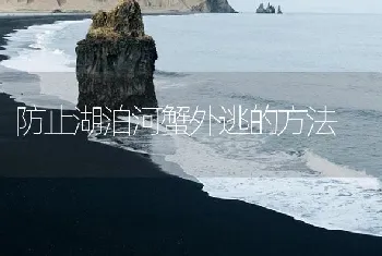 防止湖泊河蟹外逃的方法