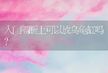 土狗、比熊、泰迪哪个比较温顺不会叫，好养的呀？