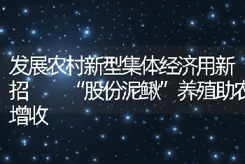 发展农村新型集体经济用新招  “股份泥鳅”养殖助农增收