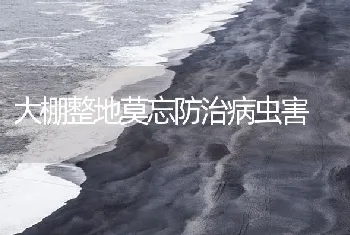 大棚整地莫忘防治病虫害