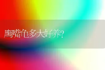 鹰嘴龟多大好养？