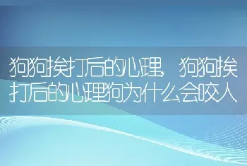 狗狗挨打后的心理，狗狗挨打后的心理狗为什么会咬人