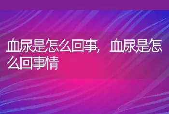 血尿是怎么回事，血尿是怎么回事情