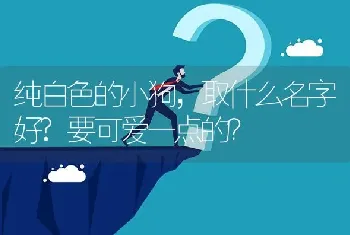 纯白色的小狗，取什么名字好?要可爱一点的？