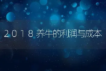 2018养牛的利润与成本