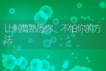 让刺猬熟悉你、不怕你的方法