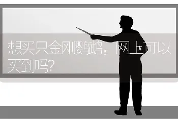 想买只金刚鹦鹉，网上可以买到吗？