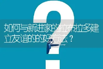 如何与新进家的拉布拉多建立友谊的的好方法？