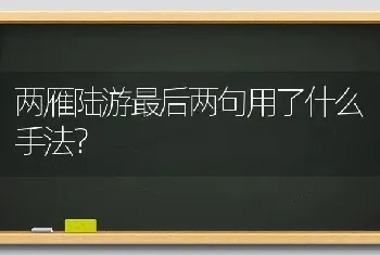 两雁陆游最后两句用了什么手法？