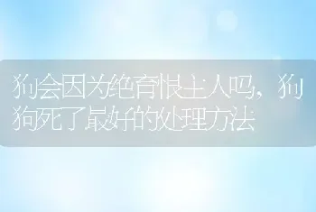 狗会因为绝育恨主人吗，狗狗死了最好的处理方法